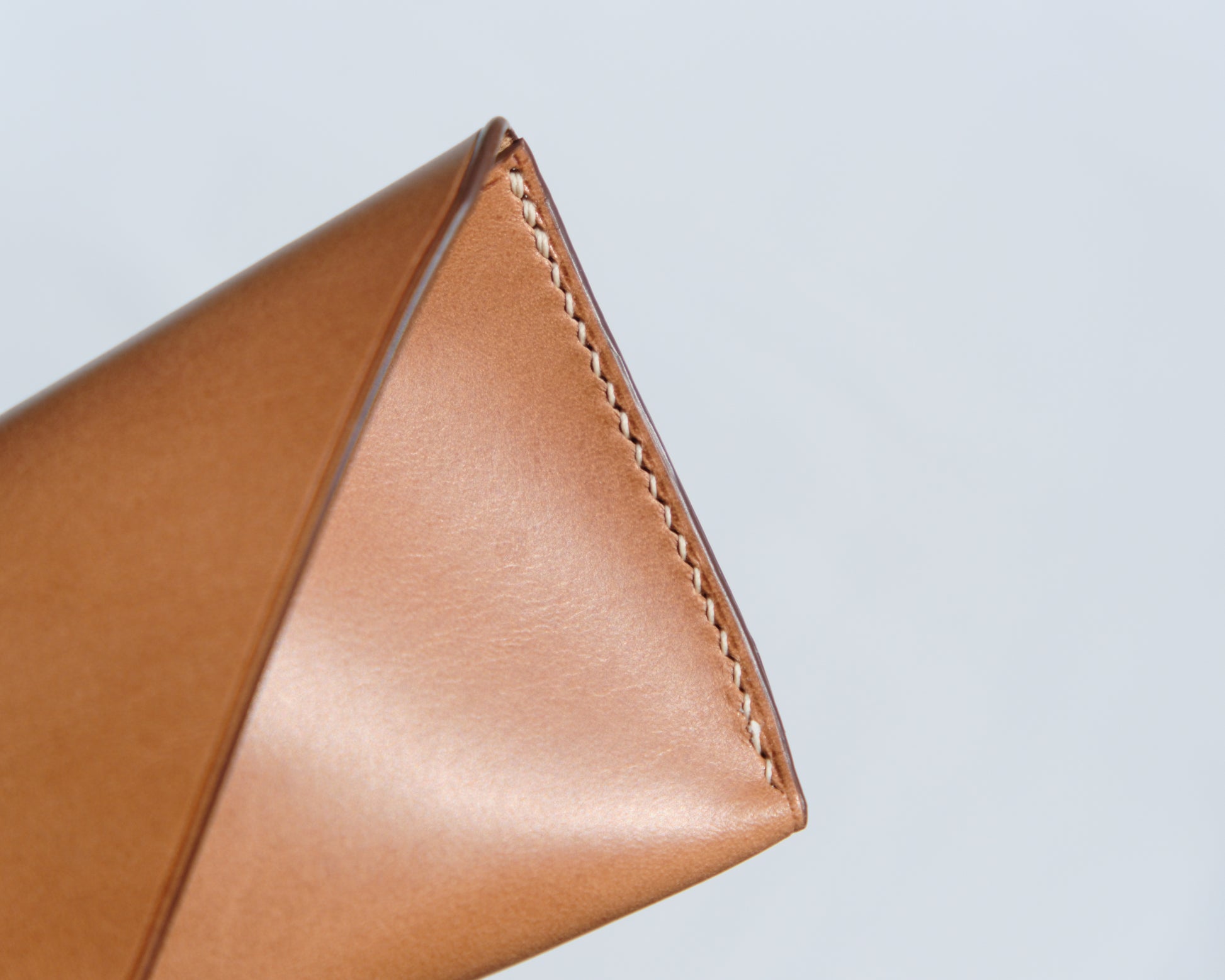 Snap Pocket Eyeware Case - Camel